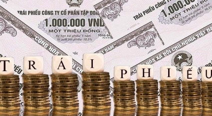 Bất động sản Ngọc Minh xin lùi thời gian đáo hạn lô trái phiếu 750 tỷ đồng