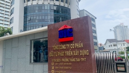 CTCP Đầu tư Phát triển Xây dựng Số 1 (DC1) bị truy thu thuế hơn nửa tỷ đồng