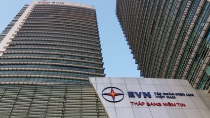 EVN mỗi ngày phải trả 40 tỷ đồng trả lãi vay