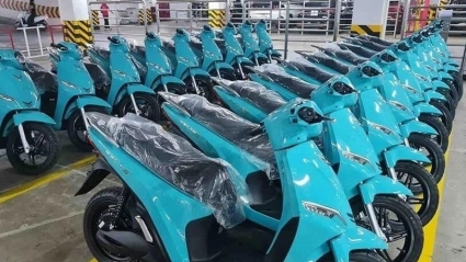 Tỷ phú Phạm Nhật Vượng sắp mở dịch vụ "xe ôm công nghệ”, chiêu mộ 20.000 tài xế