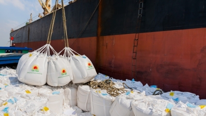 Việc bán gạo của Lộc Trời với Indonesia, Malaysia có thể lên đến 127 triệu USD/hợp đồng