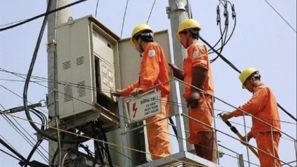 Phó Thủ tướng Lê Minh Khái chỉ đạo xử lý nghiêm vi phạm tại EVN