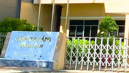 Cảng Đà Nẵng nợ người lao động, phúc lợi và kinh phí công đoàn hơn 81 tỷ đồng