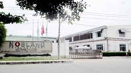 Nobland Việt Nam tạm dừng phương án cắt giảm hơn 600 lao động