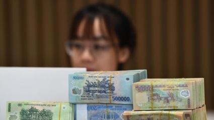 Mặt bằng lãi suất giảm sâu, lãi suất tiết kiệm chủ yếu dưới 7%