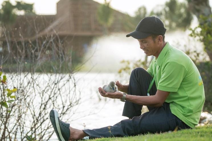 Nghỉ lễ 2/9, trẻ em thành Vinh nô nức đổ về Eco Central Park ngắm thiên nga mới sinh