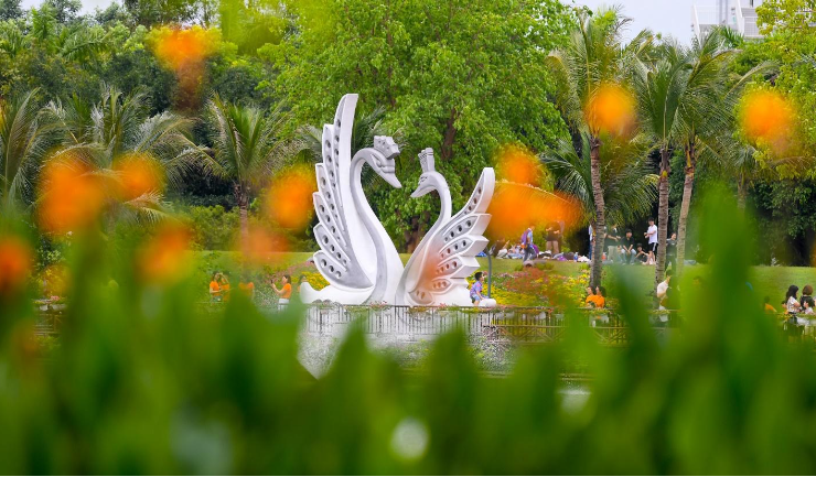 Nghỉ lễ 2/9, trẻ em thành Vinh nô nức đổ về Eco Central Park ngắm thiên nga mới sinh