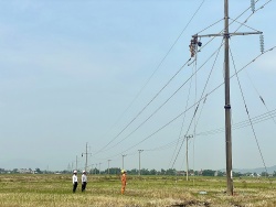 Công ty Điện Lực Phú Yên thông tin vụ tai nạn làm 2 người thương vong