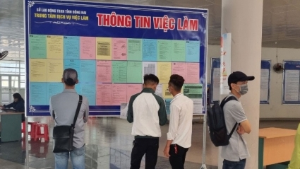 Năm 2023 có gần 10.900 cán bộ, công chức, viên chức nghỉ việc, thôi việc