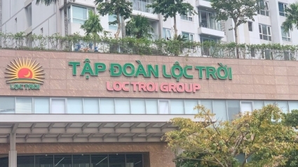 Tập đoàn Lộc Trời giải thể một công ty con là liên danh với Tập đoàn của Trung Quốc