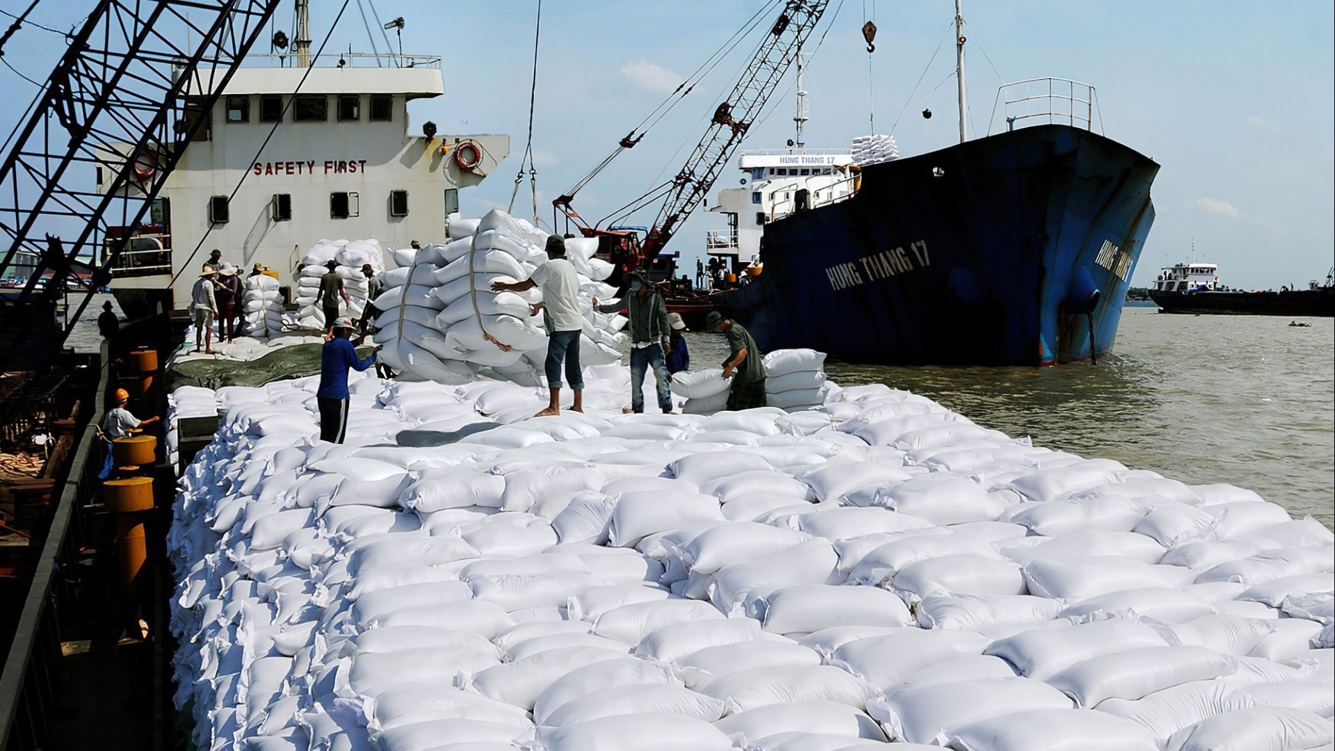 Chuyên gia nhận định về giá gạo những tháng cuối năm 2023