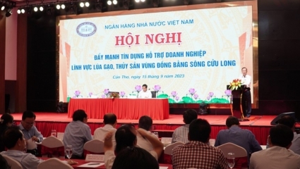 Agribank đồng hành, hỗ trợ doanh nghiệp thủy sản, lúa gạo vùng Đồng bằng sông Cửu Long