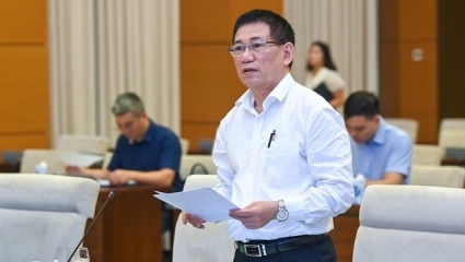 Sẽ thất thu nếu không đánh thuế tối thiểu toàn cầu