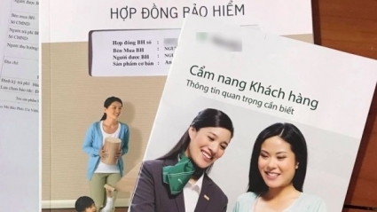 Từ nay đến cuối năm, Bộ Tài chính sẽ thanh tra thêm 6 doanh nghiệp bảo hiểm