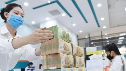 Doanh nghiệp vừa và nhỏ có thể vay vốn với lãi suất 1,2%/năm