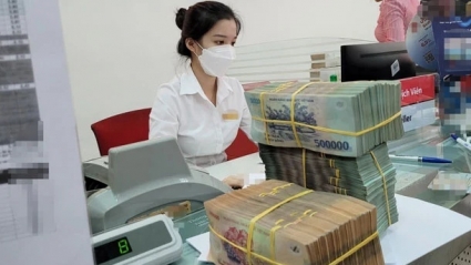 Lợi nhuận nhiều ngân hàng lớn có thể sụt giảm