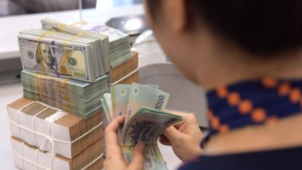 NHNN sắp “bơm” lượng tiền lớn vào thị trường, lãi suất cho vay giảm mạnh