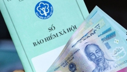 Tổng Công ty Tư vấn thiết kế Dầu khí (PVE) nợ bảo hiểm hơn 15 tỷ đồng