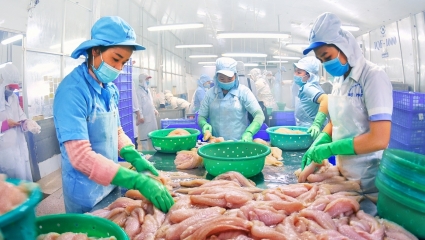 Doanh nghiệp thủy sản "than" có quá nhiều đoàn thanh tra, kiểm tra mỗi năm