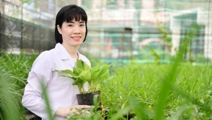 L’Oréal tôn vinh 3 nhà khoa học nữ xuất sắc năm 2023