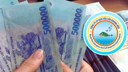 Thuế phạt, truy thu 1,4 tỷ đồng đối với Công ty Yến sào Khánh Hòa (SKV)