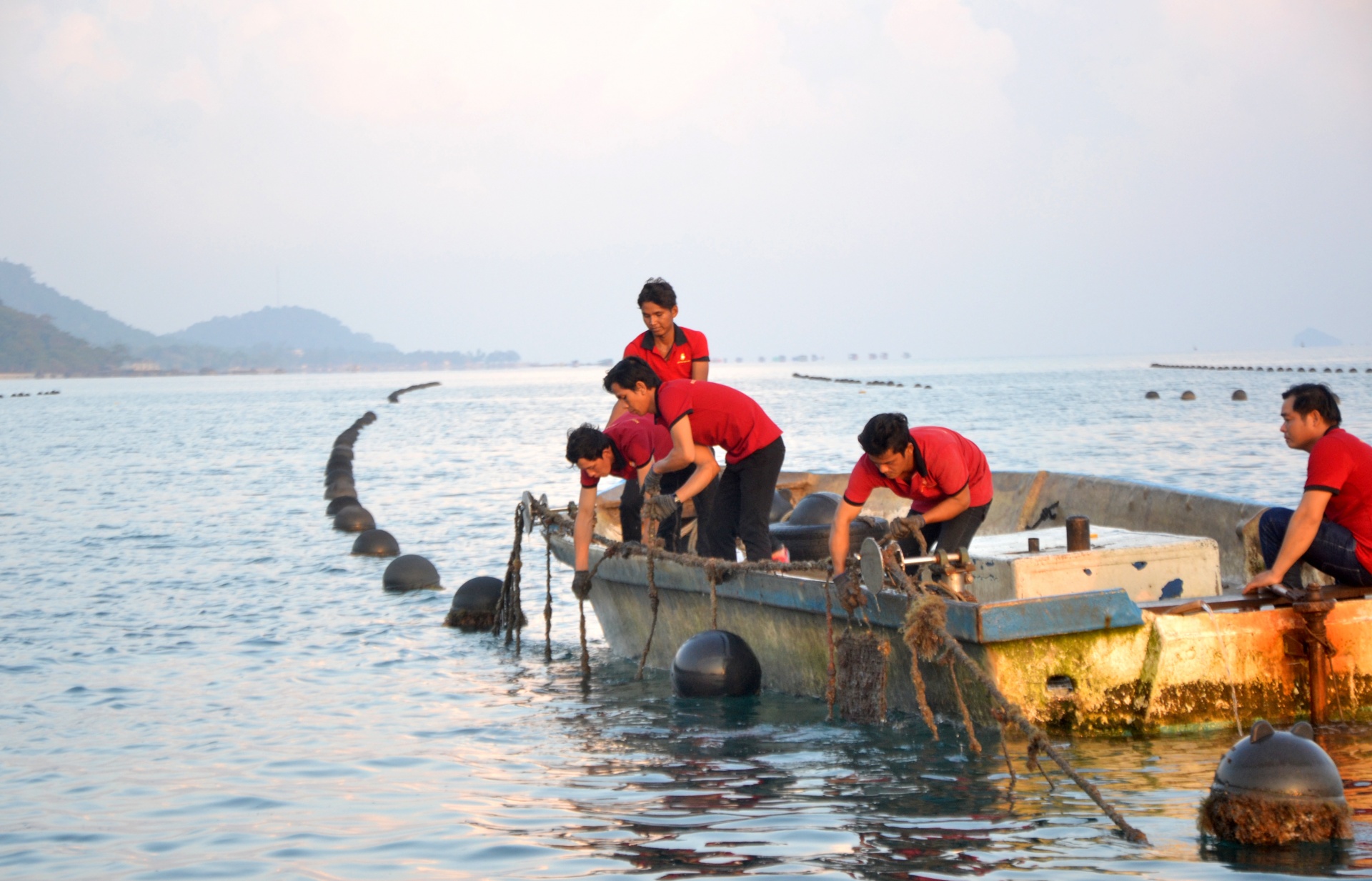 Công ty Ngọc Hiền và Tập đoàn Vinacontrol ký kết hợp đồng giám định ngọc trai