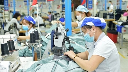 Thực hiện chính sách giảm VAT 2% trong 6 tháng đầu năm 2024