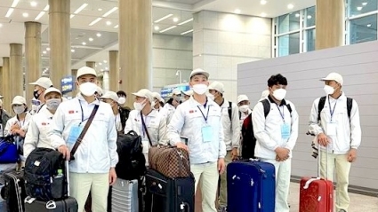 Cảnh báo việc tuyển chọn trái quy định đưa người lao động đi làm việc Hàn Quốc