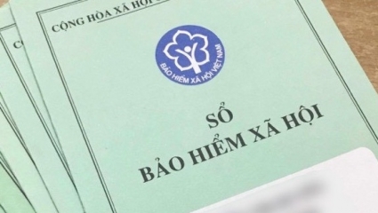 Doanh nghiệp Quảng Nam nợ bảo hiểm người lao động hơn 246 tỷ đồng