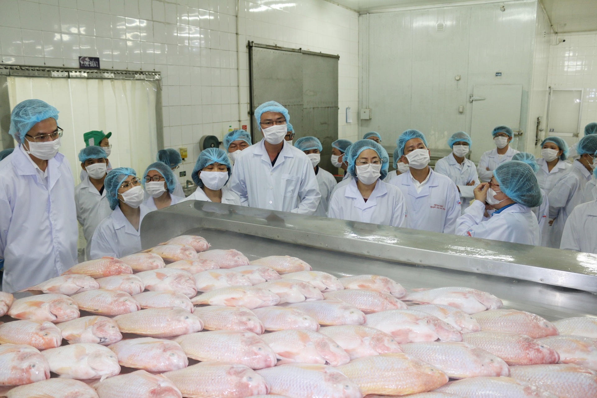 Một doanh nghiệp thủy hải sản lớn có nguy cơ hàng trăm người lao động sẽ mất việc làm