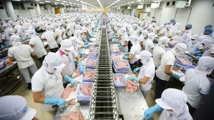 16 doanh nghiệp XKLĐ "dính" sai phạm ở tỉnh dẫn đầu cả nước về XKLĐ