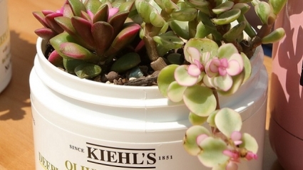 Người trẻ sành điệu cùng sứ mệnh sống xanh