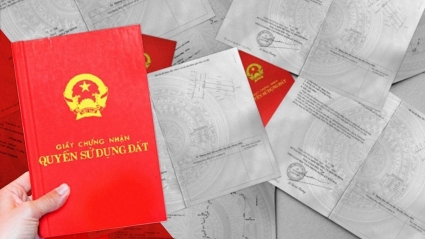 6 trường hợp sổ đỏ sẽ bị thu hồi từ năm 2025