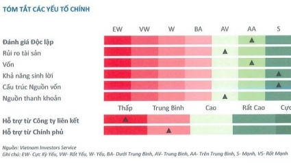 TPBank liên tiếp được khuyến nghị khả quan, xếp hạng tín nhiệm với triển vọng “Ổn định”