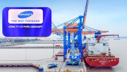 Lọt top 10 công ty uy tín và hiệu quả, Gemadept trả thu nhập người lao động thế nào?