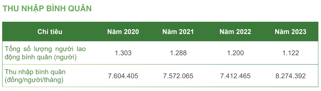 Ai nhận thu nhập cao nhất tại Công ty Môi trường Đô thị Đà Nẵng - DNE?