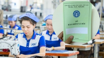 Một chi nhánh Tổng Công ty May Nhà Bè nợ bảo hiểm xã hội hơn 356 triệu đồng