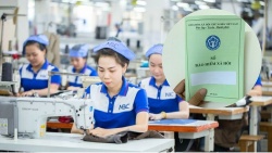 Một chi nhánh Tổng Công ty May Nhà Bè nợ bảo hiểm xã hội hơn 356 triệu đồng