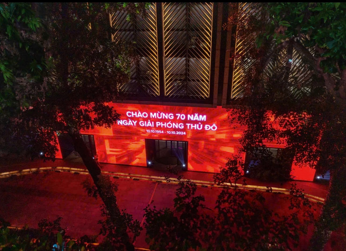 Công chúng thưởng lãm nghệ thuật ánh sáng cùng Techcombank dịp 31 năm thành lập