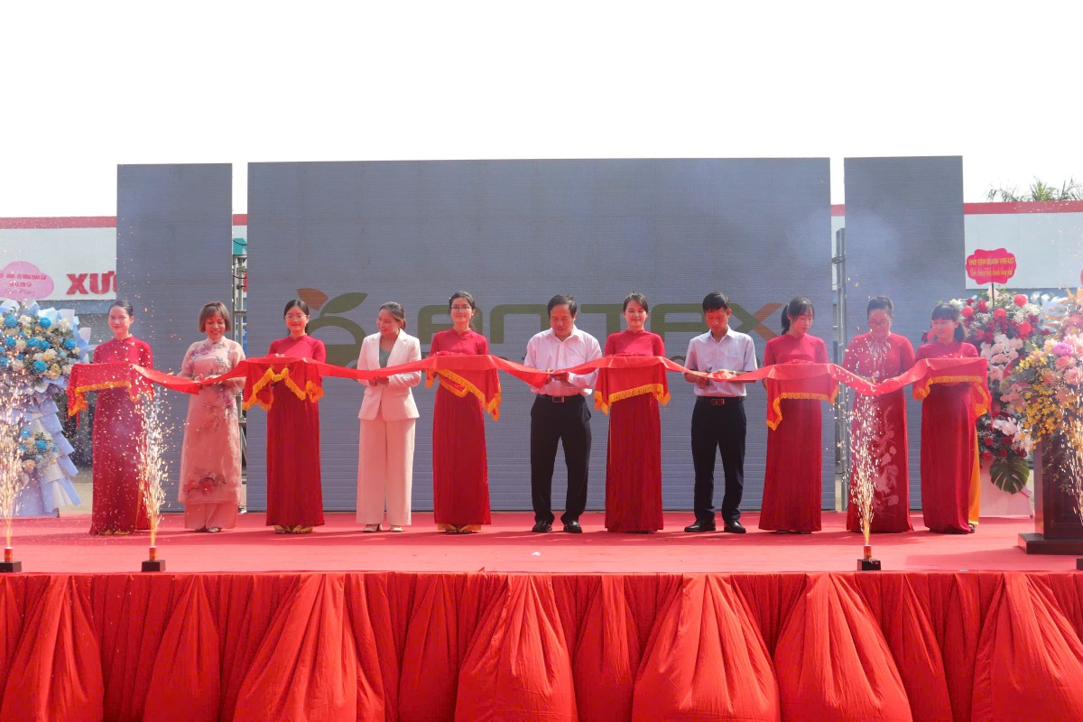 An Taxi và nỗ lực 