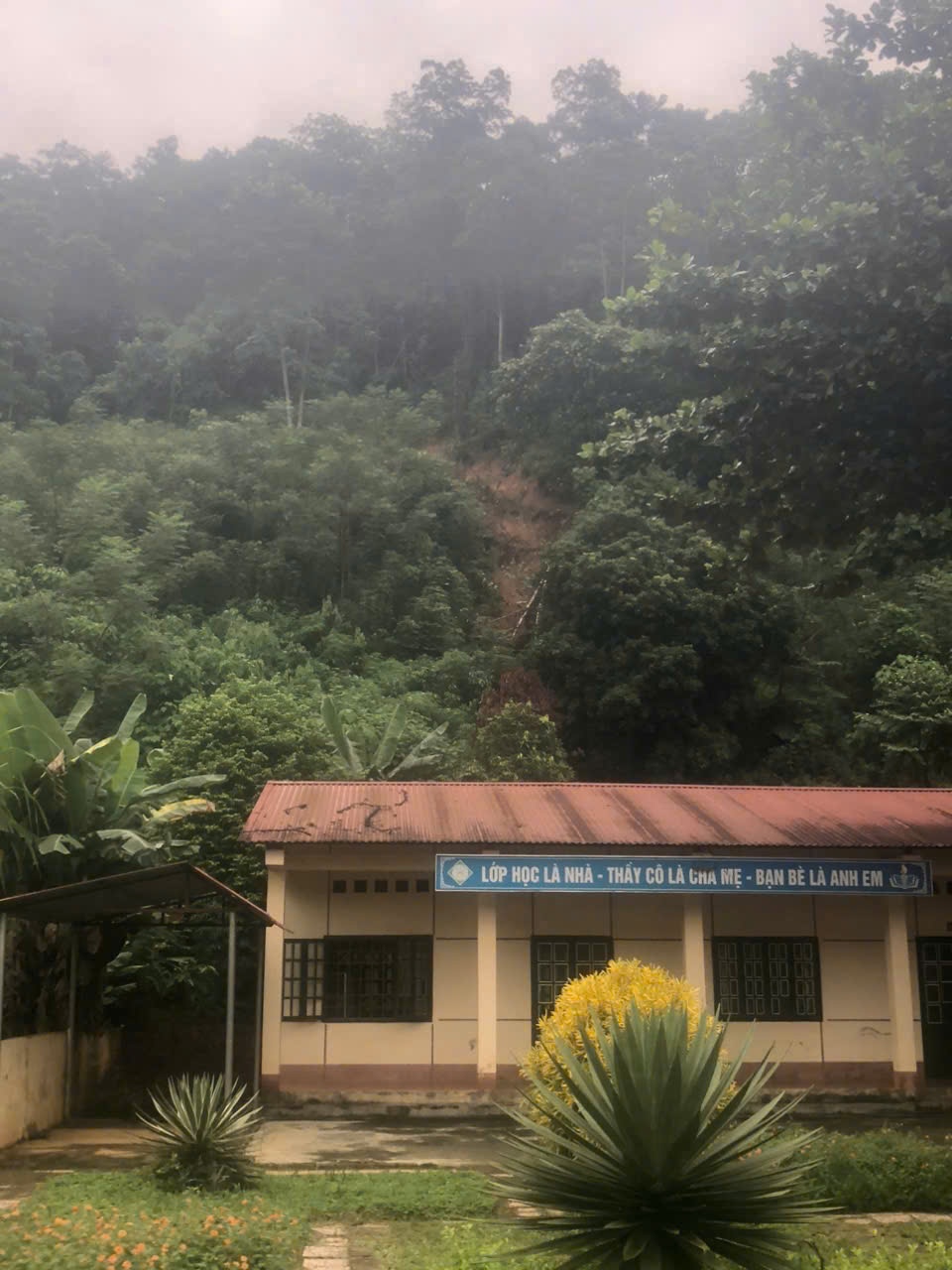 Vun trồng “mầm xanh” - gieo những hy vọng