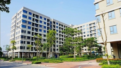 Bài toán vay mua nhà: Lãi suất giảm, nhiều lao động trẻ vẫn e dè trước áp lực tài chính dài hạn