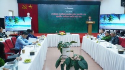 Phòng chống buôn lậu thuốc lá: Thách thức từ lệnh cấm và những tác động đa chiều