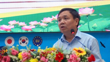 Xuất khẩu lao động trong bối cảnh tinh gọn bộ máy: Cần chiến lược quốc gia bài bản và bền vững