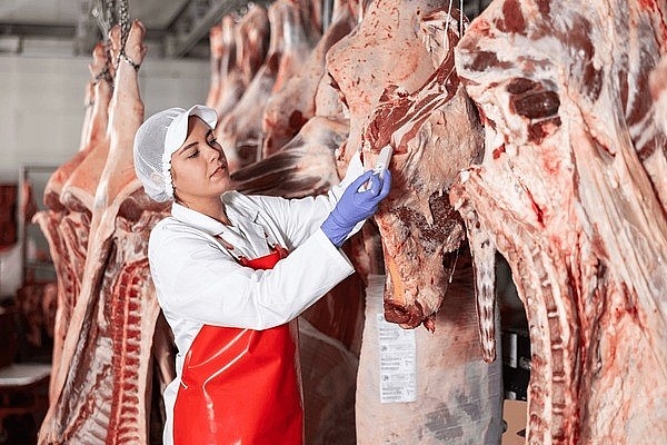 Việc Công ty Nolan Meats (Australia) tiếp tục tuyển bổ sung lao động Việt Nam cho vị trí công nhân giết mổ theo tiêu chuẩn Halal thông qua Chương trình nông nghiệp Australia (VLMA) đã mở ra những tín hiệu tích cực về thị trường lao động chất lượng cao, ổn định và có thu nhập hấp dẫn cho người lao động Việt Nam, đặc biệt là lao động theo tôn giáo Hồi giáo.