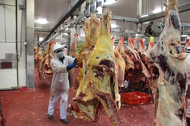 Đáng chú ý, đây là một trong số ít các chương trình lao động có hợp đồng dài hạn lên tới 4 năm và không thu phí hồ sơ, minh bạch, trực tiếp không qua trung gian, tạo điều kiện thuận lợi và an toàn cho người lao động.