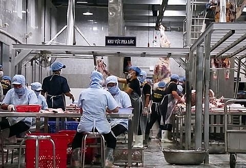 Nolan Meats là một doanh nghiệp uy tín trong ngành thịt tại Australia. Mức độ quan tâm của họ đến tiêu chuẩn Halal thể hiện cam kết với thị trường Hồi giáo và trách nhiệm với sản phẩm. Lao động Việt Nam nếu được chọn không chỉ có cơ hội việc làm mà còn được tiếp xúc với quy trình sản xuất hiện đại, kỷ luật và an toàn thực phẩm nghiêm ngặt.