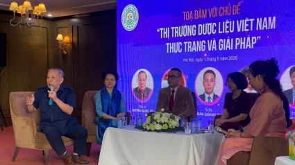 Lối ra cho thị trường dược liệu Việt Nam: Để người trồng sống được với nghề