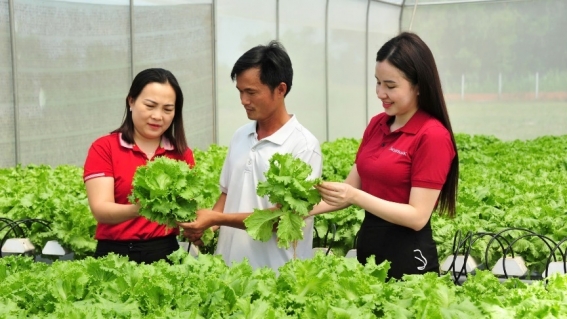 Nguồn vốn Agribank đồng hành phát triển kinh tế tư nhân