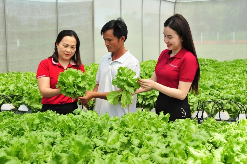 Nguồn vốn Agribank đồng hành phát triển kinh tế tư nhân